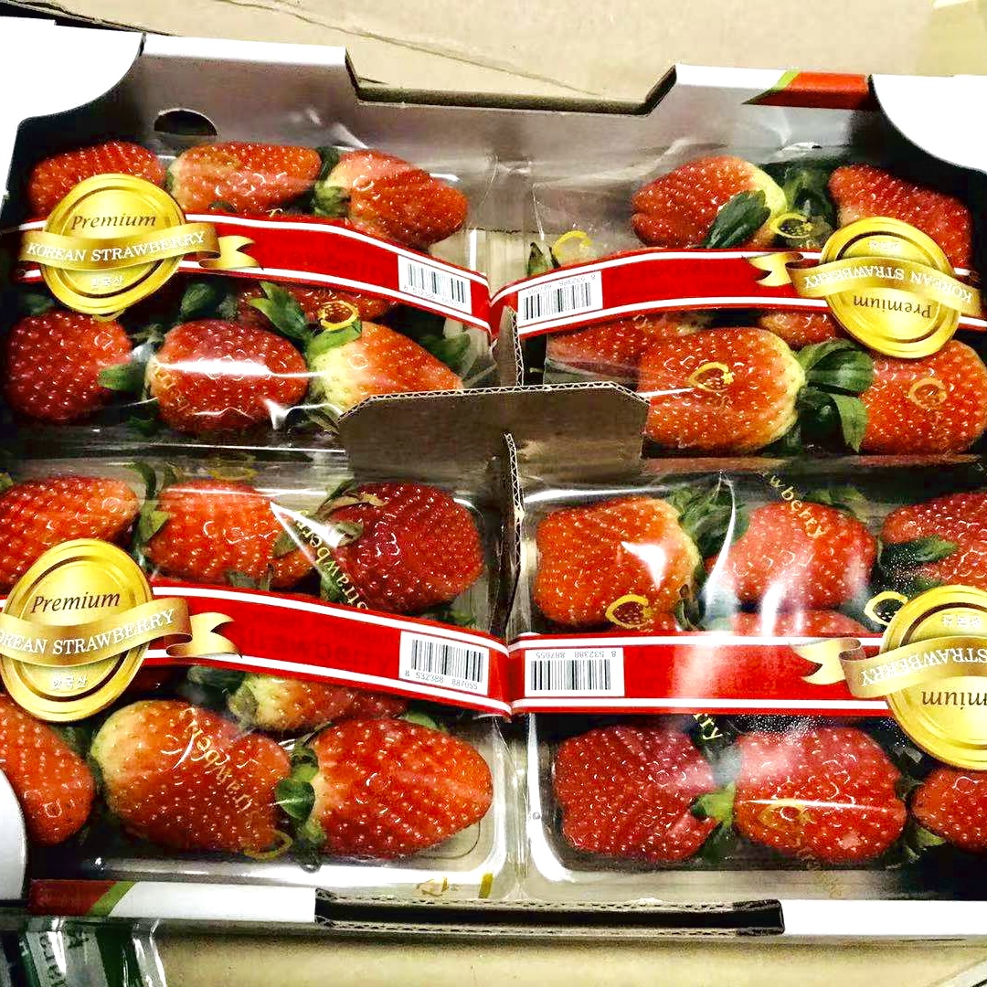 韩国 雪里香草莓 盒装/箱装
